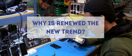 WHY IS RENEWED THE NEW TREND?